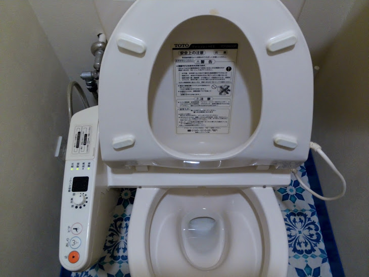toilet_16.jpg